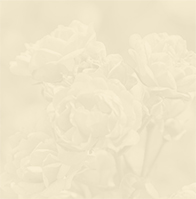 covid-banner-bg