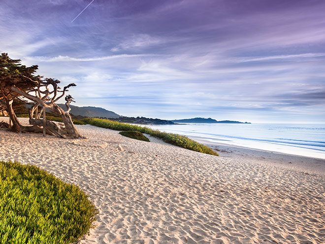 Monterey Beaches
