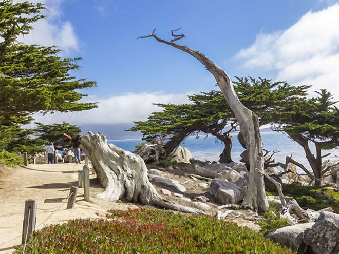 Go Local at Hotel California